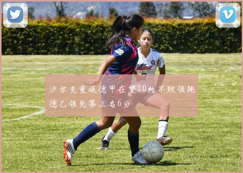 沙尔克重返德甲在望10轮不败领跑德乙领先第三名6分